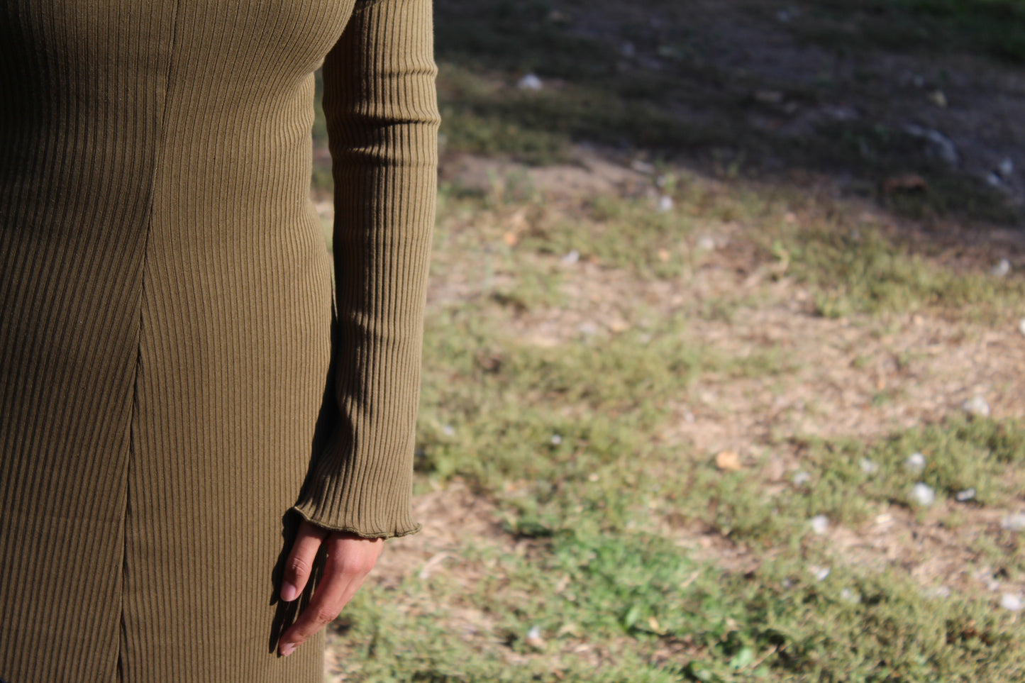 Bella Bell Sleeve Dress