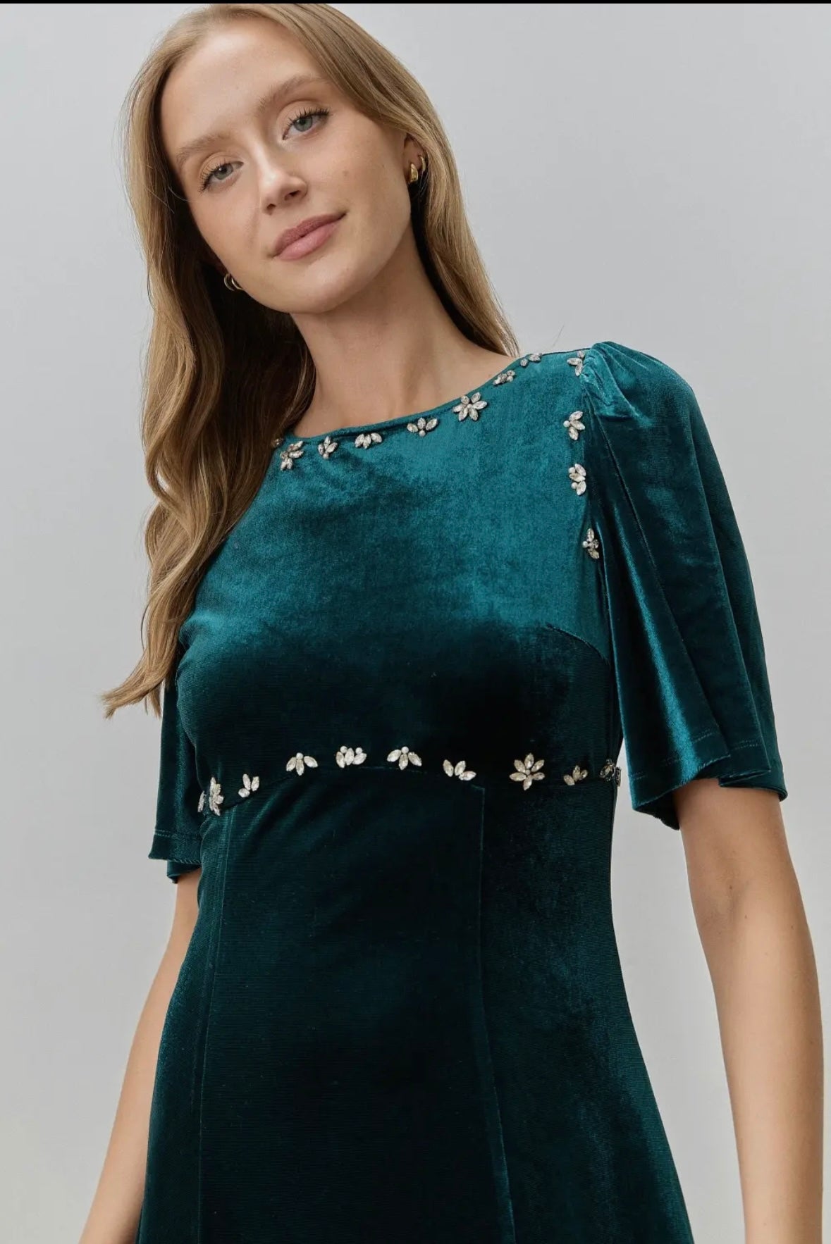 Pinecrest Velvet Dress