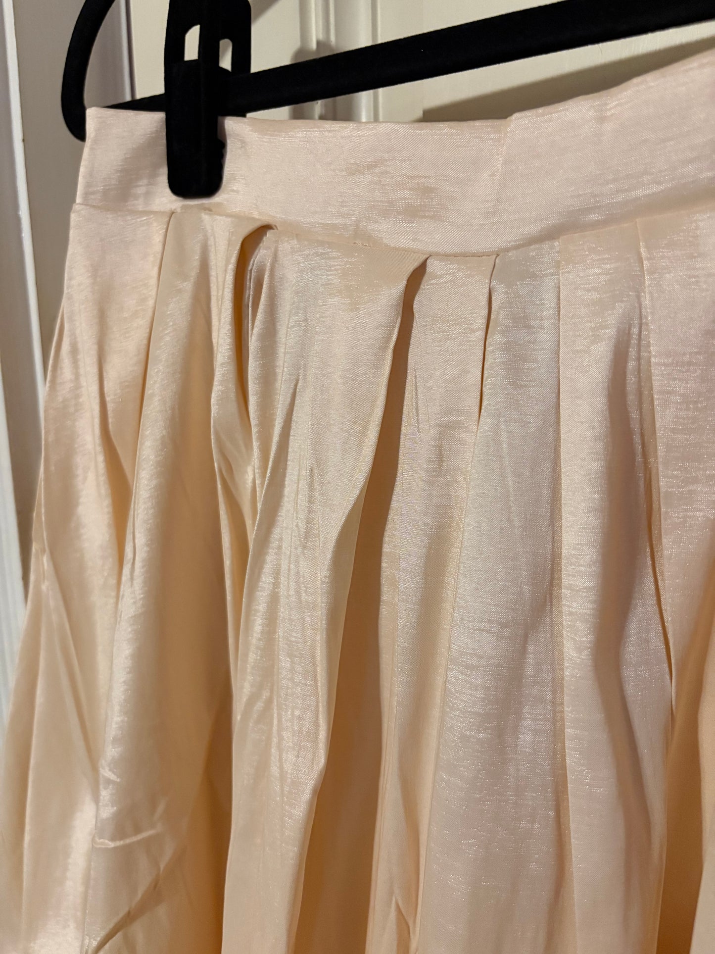Pleated Skirt